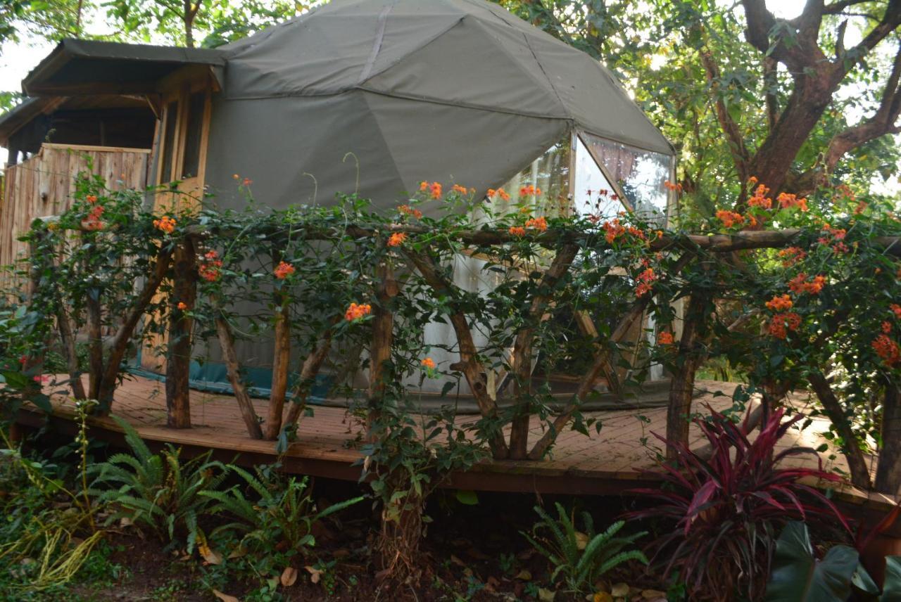 Хостел Jinja Backpackers Экстерьер фото