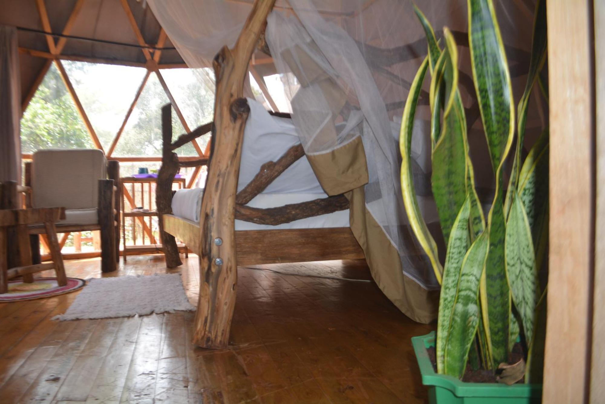 Хостел Jinja Backpackers Экстерьер фото